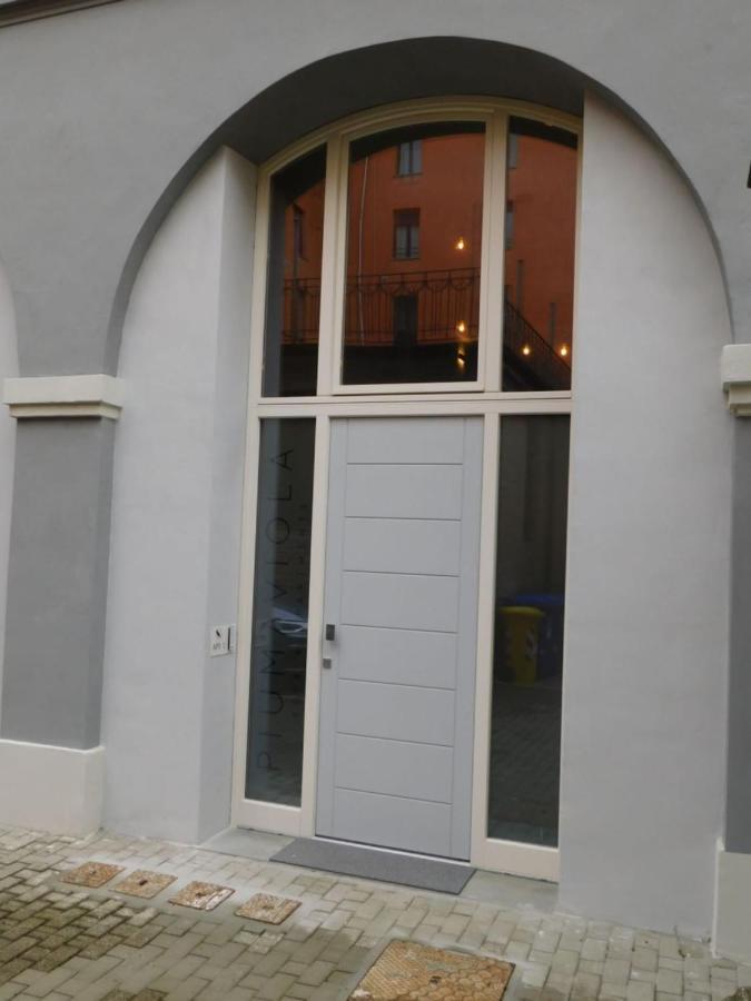 Piumaviola Beds & Apartments Parma Eksteriør bilde